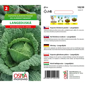 10239/1311 Kapusta poz. Langedijská 0,8g