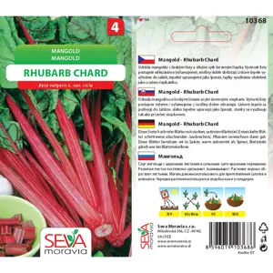 10368/1608  Mangold Rhubarb Chard 4g