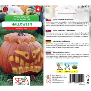 24221/4201 okrasná tykvička Halloween 10s