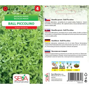 30031/3709 Bazalka pravá Ball Piccolino 0,3g