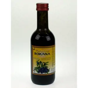 Bylinný fruktózový sirup BORŮVKA 290 g