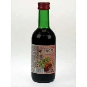 Bylinný fruktózový sirup MENOFYT 275 g