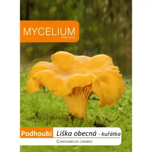 Liška obecná (kuřátka) 10g - podhoubí