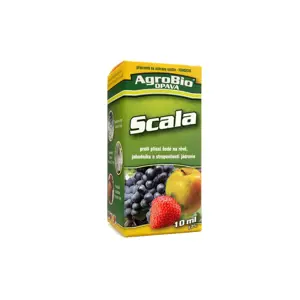 Scala 10ml