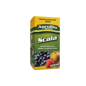 Scala 50ml