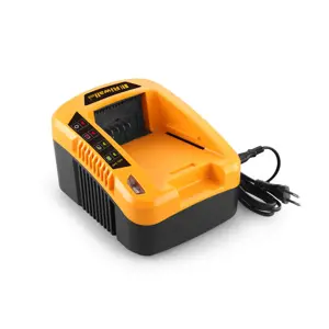 Nabíječka 40 V Riwall PRO RAC 240