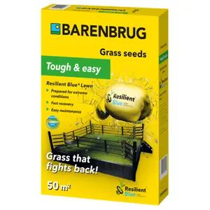 BARENBRUG RESILIENT BLUE Lawn 1 kg