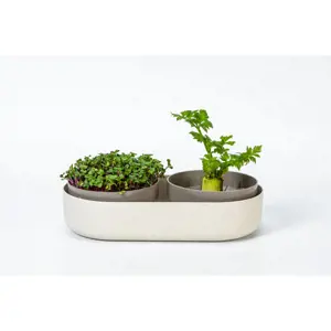 Plastia Velká farma Microgreens+Regrow - slonová kost s kávovou sedlinou