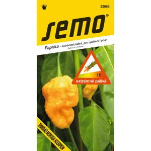 SEMO Paprika roční TRINIDAD MORUGA SCORPION YELLOW