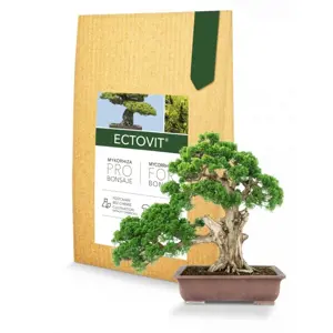 Symbiom Ectovit Bonsai 100g