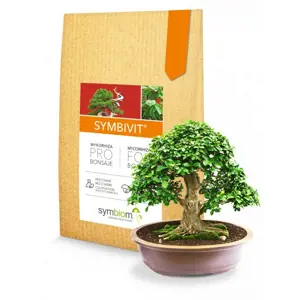 Symbiom Symbivit Bonsai 150g